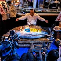 लोकप्रिय जापानी सुशी चेनले ब्लूफिन टुना माछा कीर्तिमानी ४६ करोड रुपैयाँमा किन्यो Image